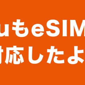いつでも気軽にMNP！auが8月26日からeSIM対応！