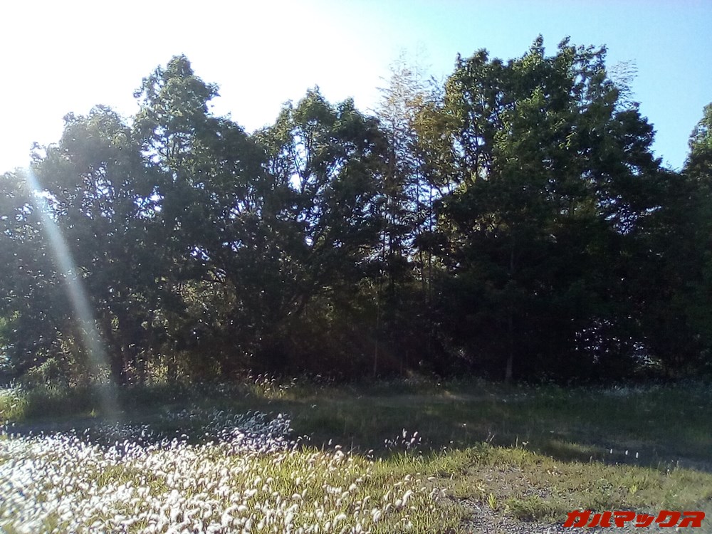 LAVIE Tab E（TE507/KAS）