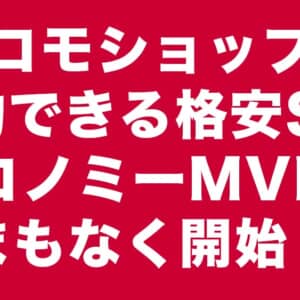 格安SIMは難しそう？ドコモ認定のエコノミーMVNOはドコモショップで手続き可能になるよ！