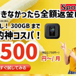 バナナWi-Fiは300GBも選べる！ガルマックスクーポンで事務手数料無料だ！