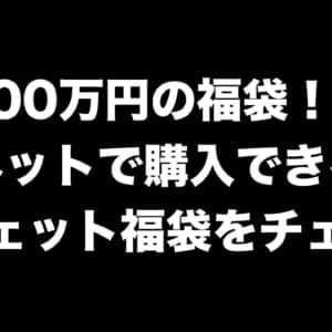 100万円？！ガジェット系の福袋でネット購入できるショップをピックアップ！
