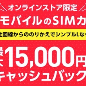ワイモバイルのSIMカード単体契約はタイムセールでキャッシュバック増額してます