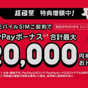 【31日まで！】ワイモバイルのヤフー店でSIMを申し込むとPayPayボーナス最大2万円相当が貰える！
