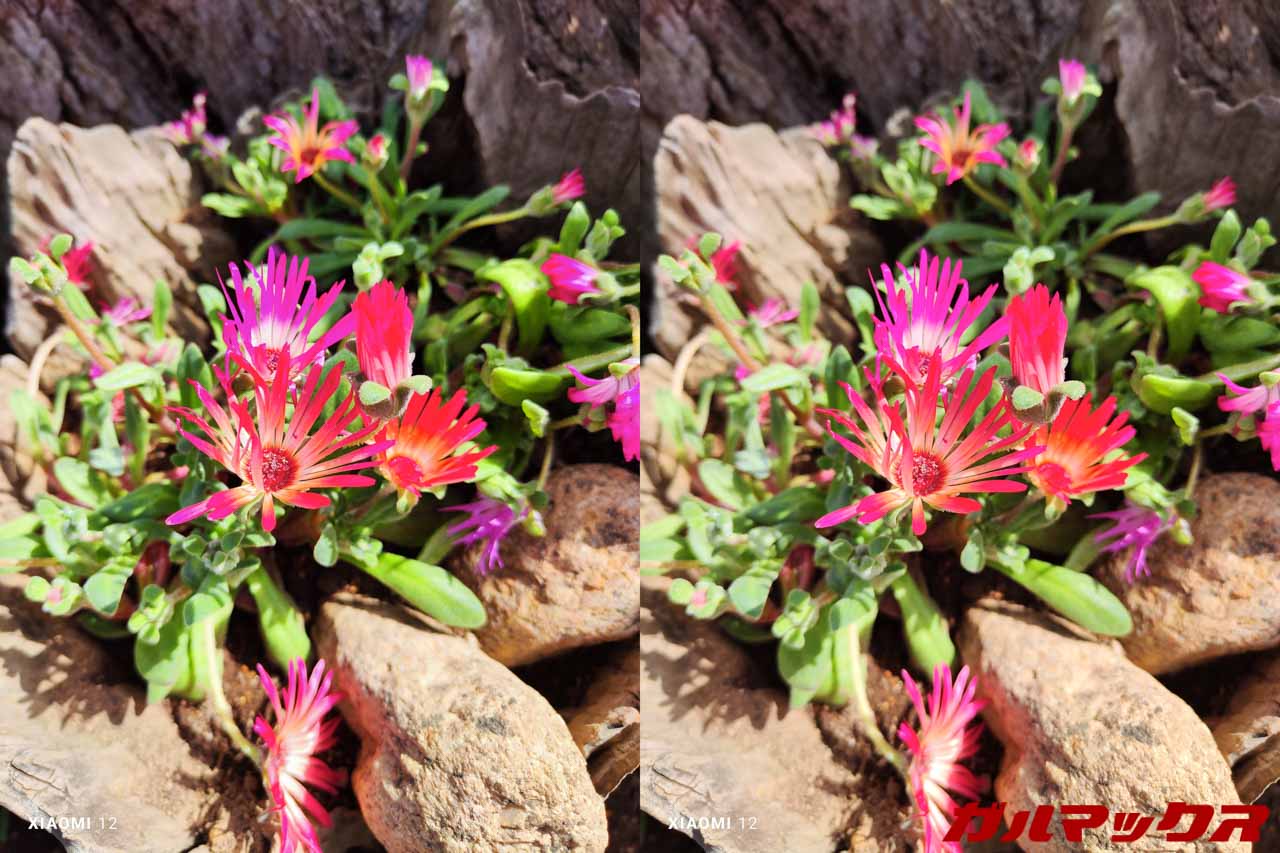 Xiaomi 12 global version