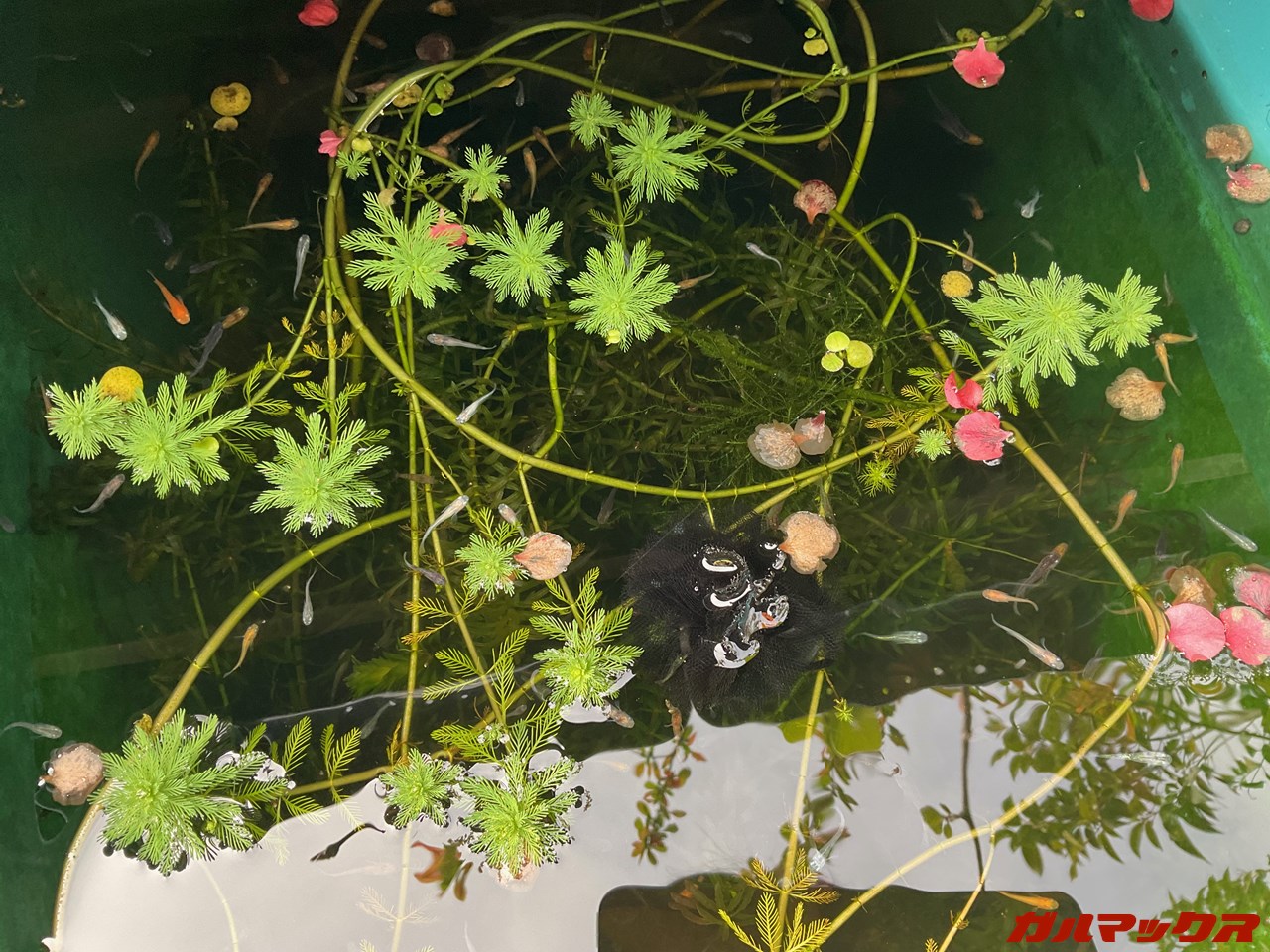 iPad Air（第5世代）