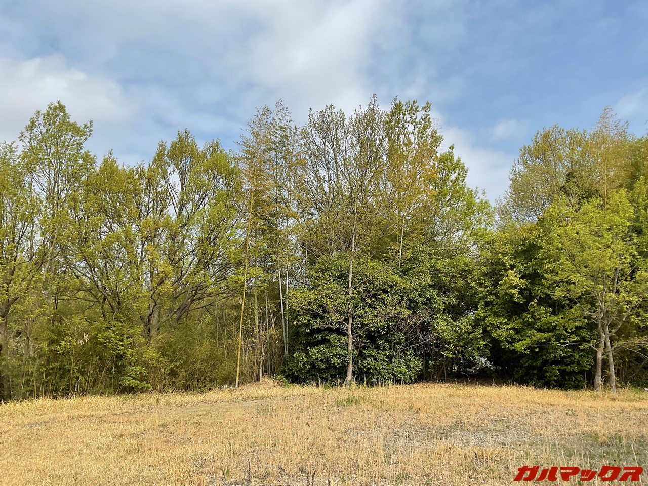 iPad Air(第5世代)