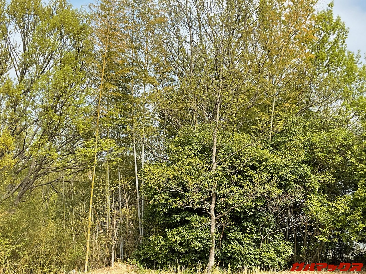 iPad Air(第5世代)