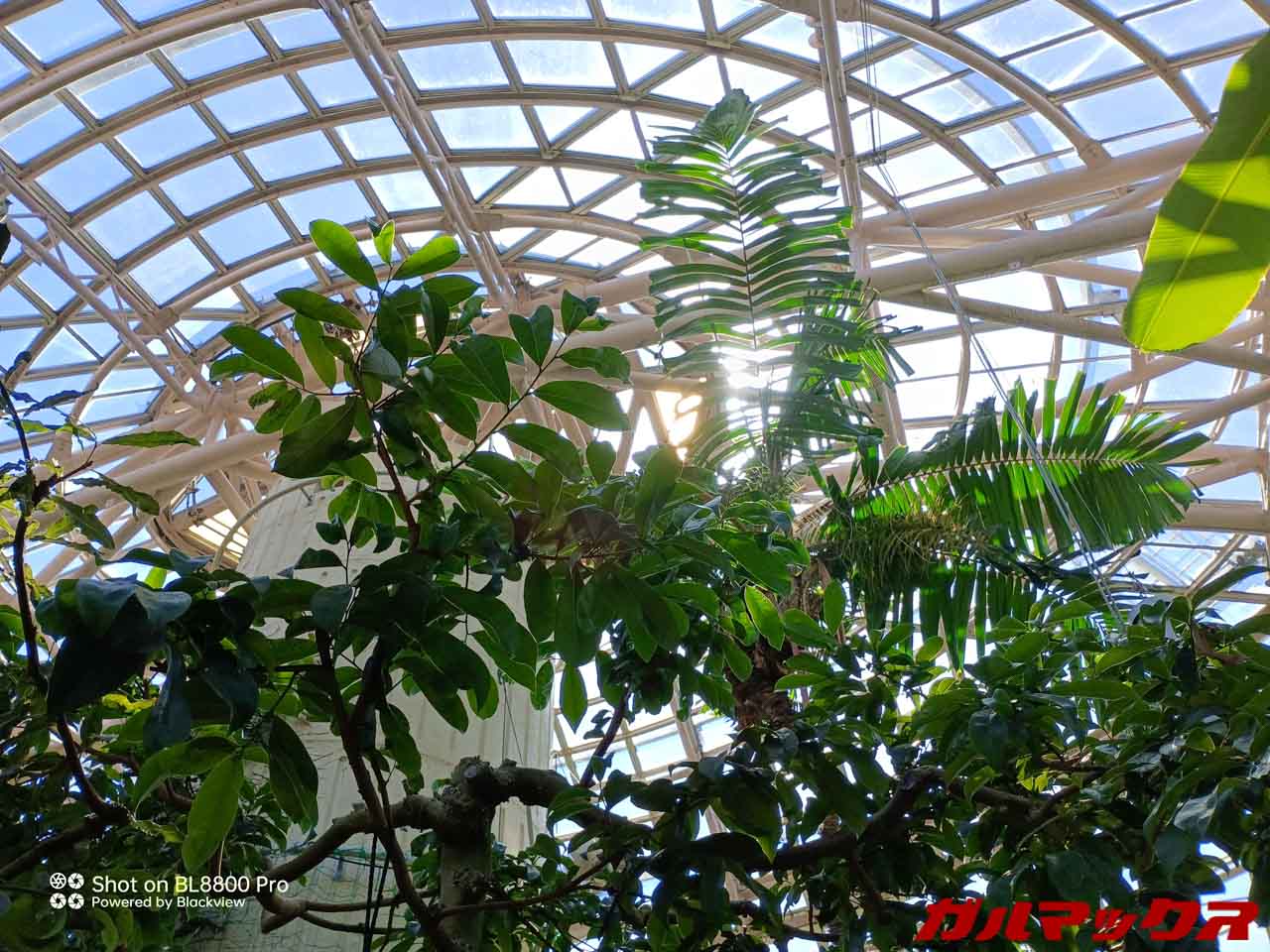 Blackview BL8800 Pro