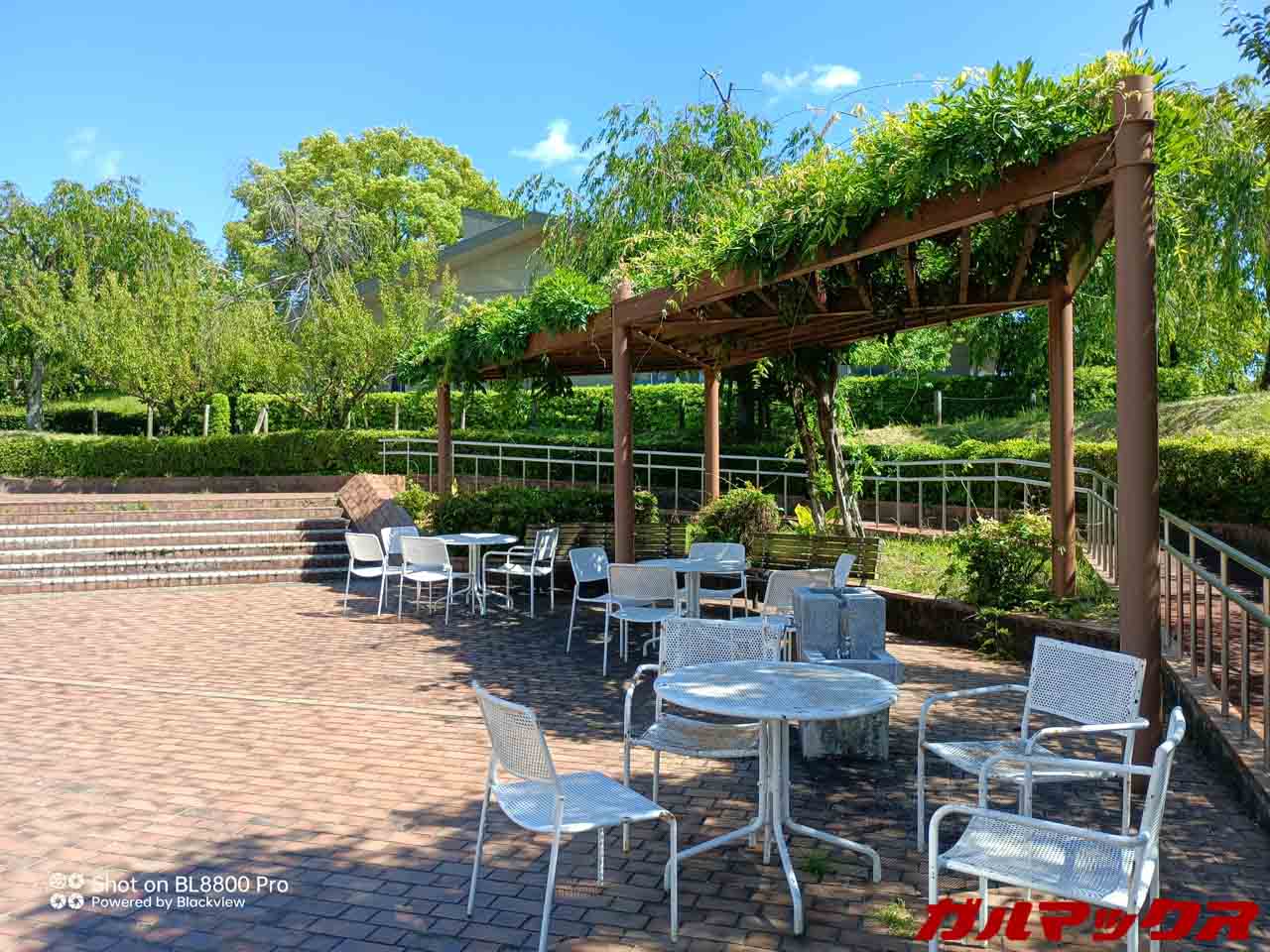 Blackview BL8800 Pro