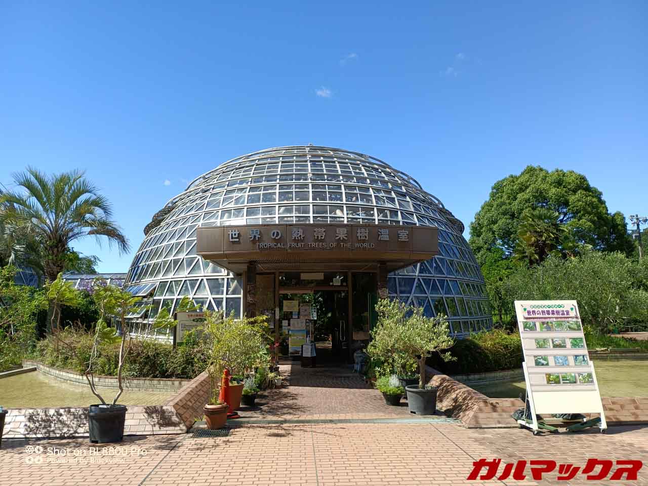 Blackview BL8800 Pro