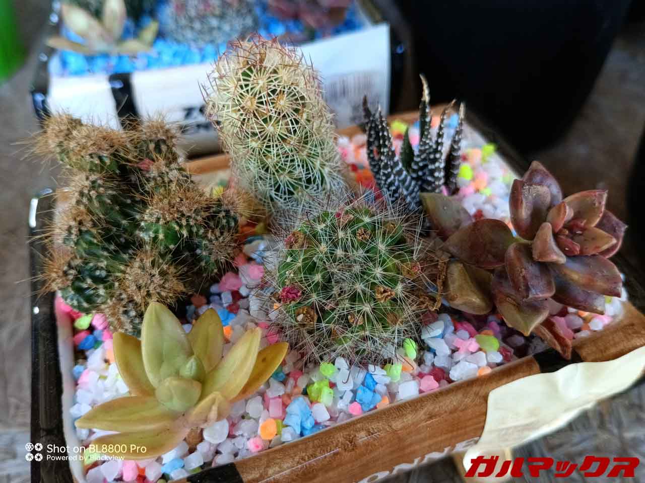 Blackview BL8800 Pro