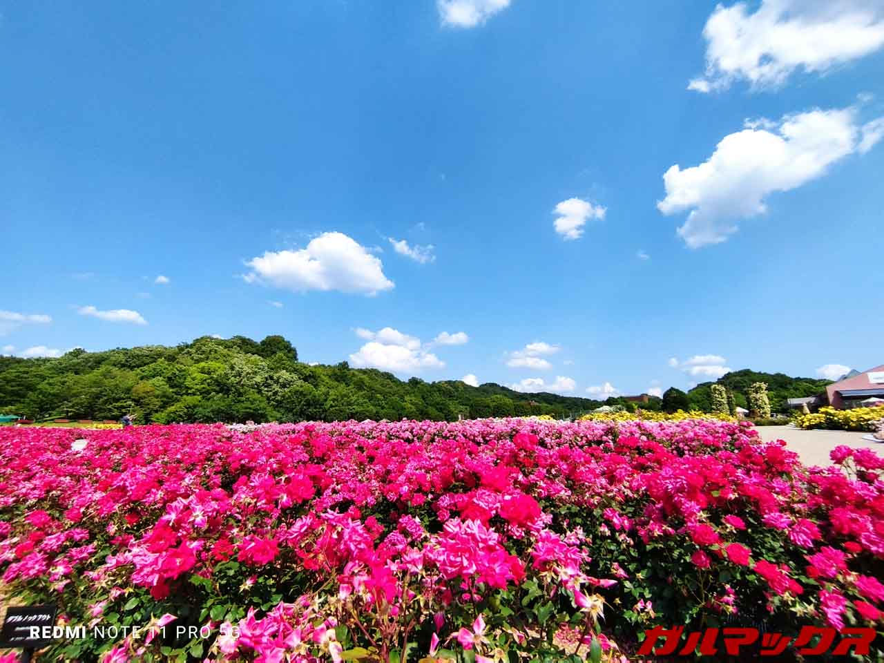 Redmi Note 11 Pro 5G