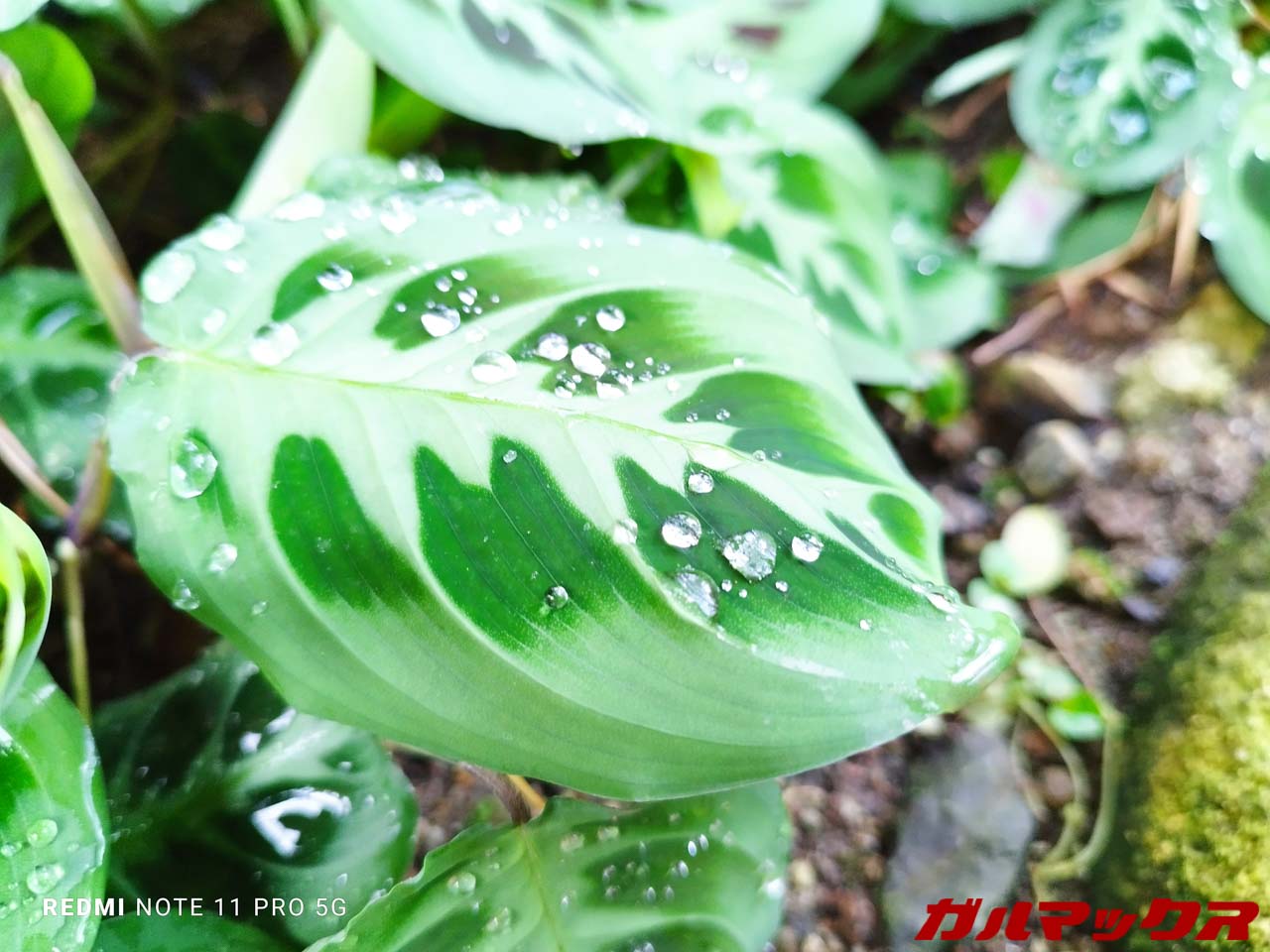 Redmi Note 11 Pro 5G