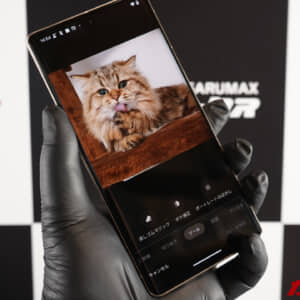 Pixel 7シリーズで使える写真の「ボケ補正」効果は？実機で試してみた