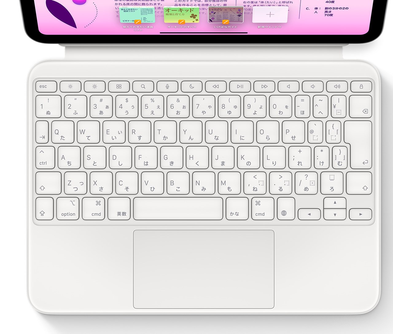 Magic Keyboard Folio