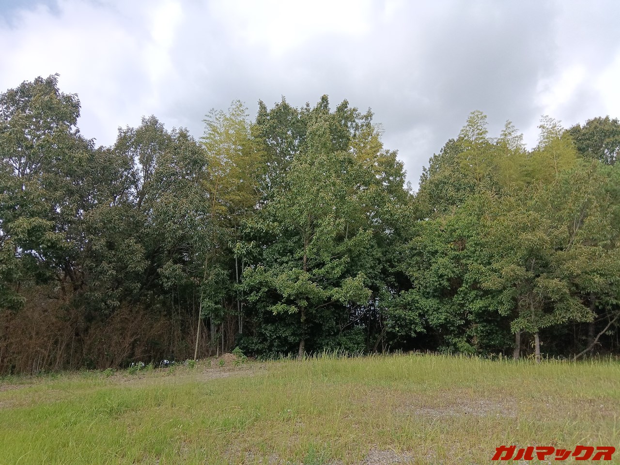 ALLDOCUBE iPlay 50 mini Pro