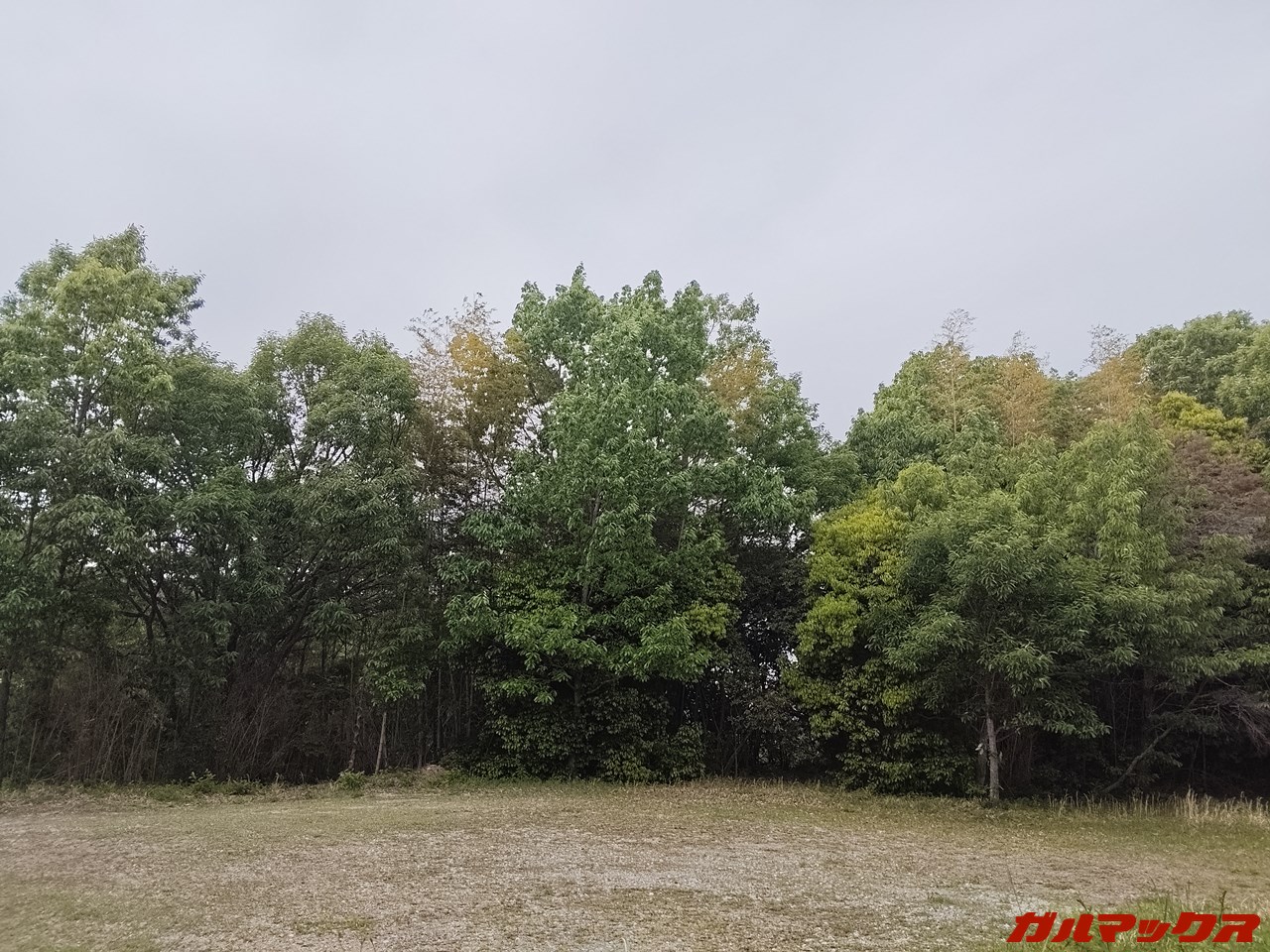 Lenovo Legion Tab(8.8”, 3)